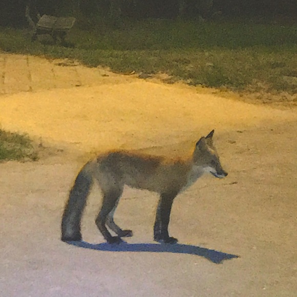 Meet your Posher, Angela 🦋🌊🦋🌊🦋🌊🦋 - Picture 3 of 16